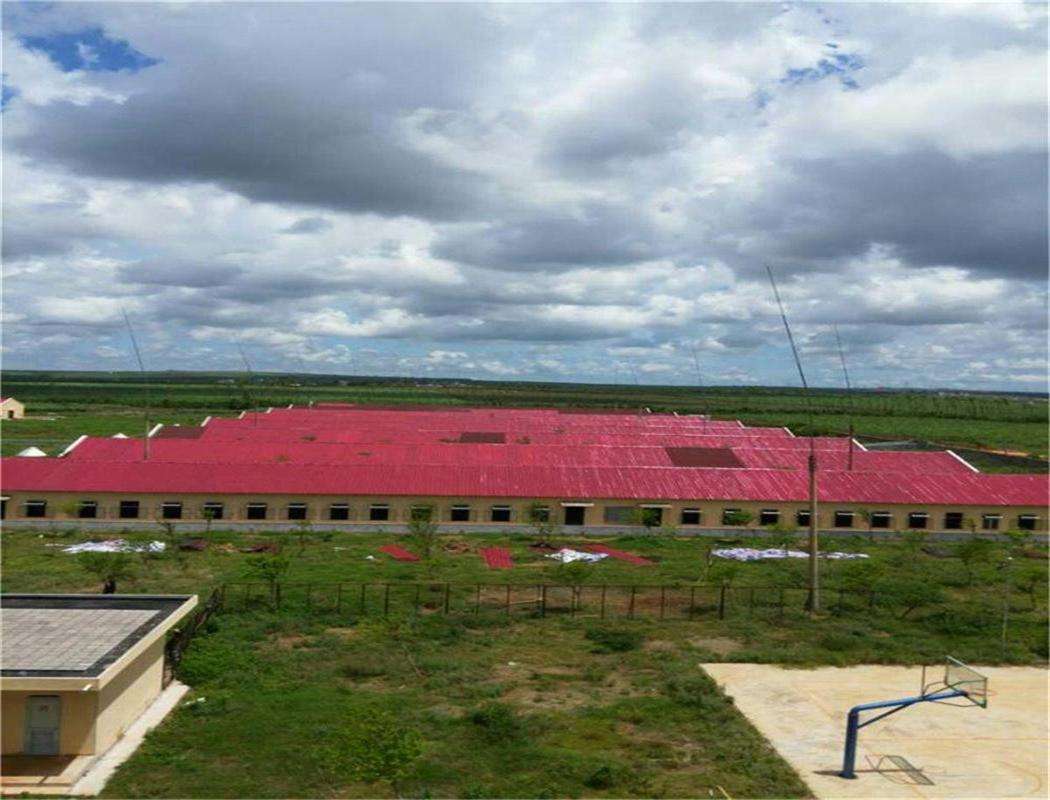 養(yǎng)殖場屋面瓦 養(yǎng)殖場屋面瓦