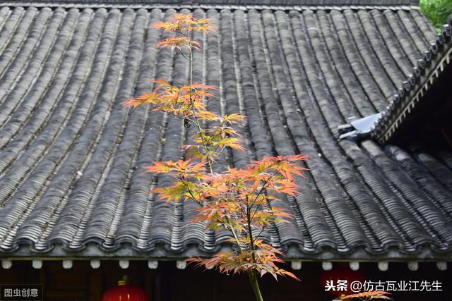 導(dǎo)讀：農(nóng)村蓋房用樹(shù)脂瓦適合嗎？聽(tīng)完行家的分析，恍然大悟