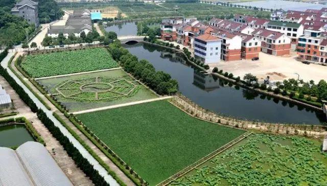 中國***美的鄉(xiāng)村景色，看看有你的家鄉(xiāng)嗎