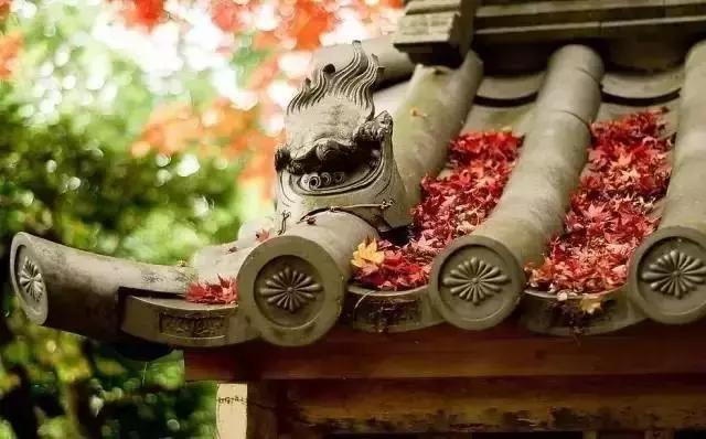 這樣的院子，只有中國人駕馭得了它！