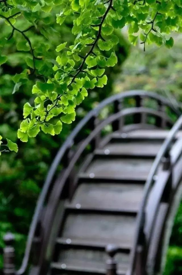 這樣的院子，只有中國人駕馭得了它！