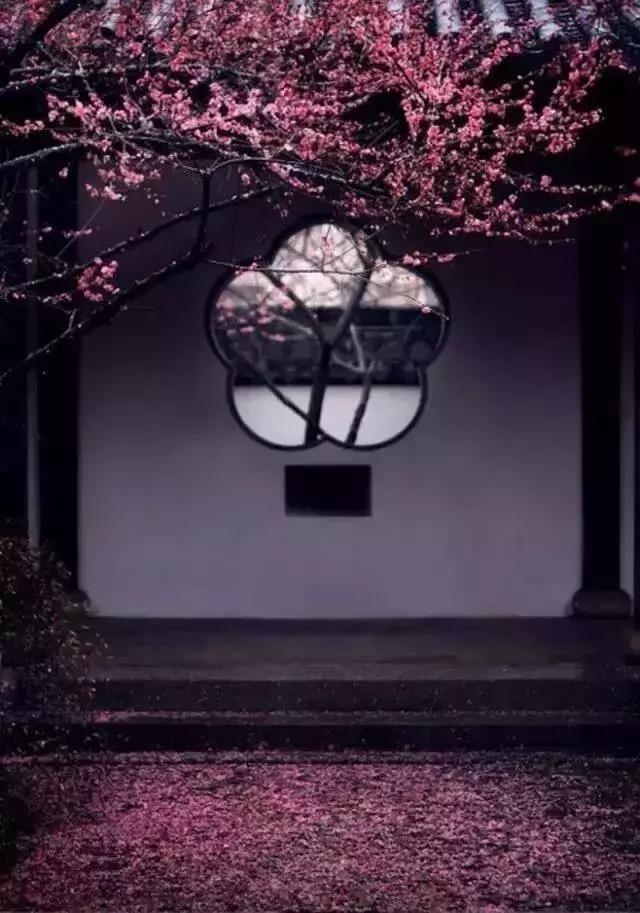 這樣的院子，只有中國人駕馭得了它！