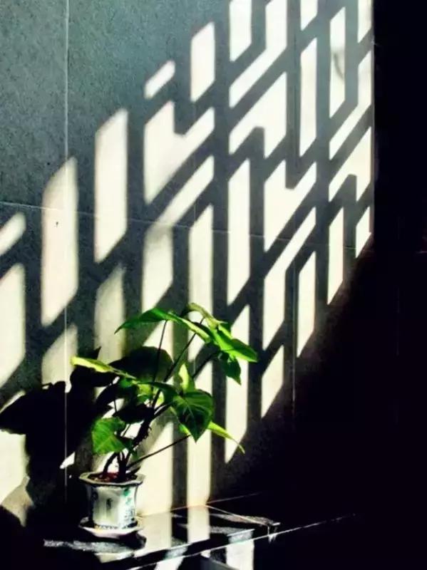 這樣的院子，只有中國人駕馭得了它！