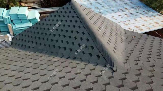 30元一平的樹脂瓦省錢又耐用？網(wǎng)友：吃飽沒事干，用一年就得換