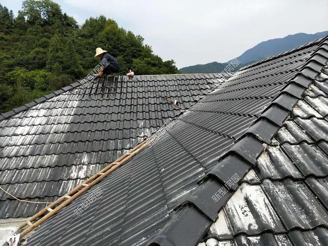 30元一平的樹脂瓦省錢又耐用？網(wǎng)友：吃飽沒事干，用一年就得換