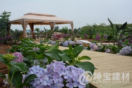 1590721093656270.jpg 182537_lidy_1590632098707_m.JPG