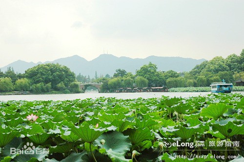 杭州樹(shù)脂瓦廠家直銷(xiāo)
